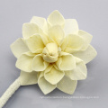 Decorative Handmade White Fragrance Diffuser Sola Wood Flower Reed Flower Diffuser